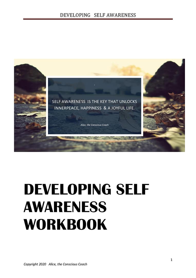 Developing Self Awreness Workbook